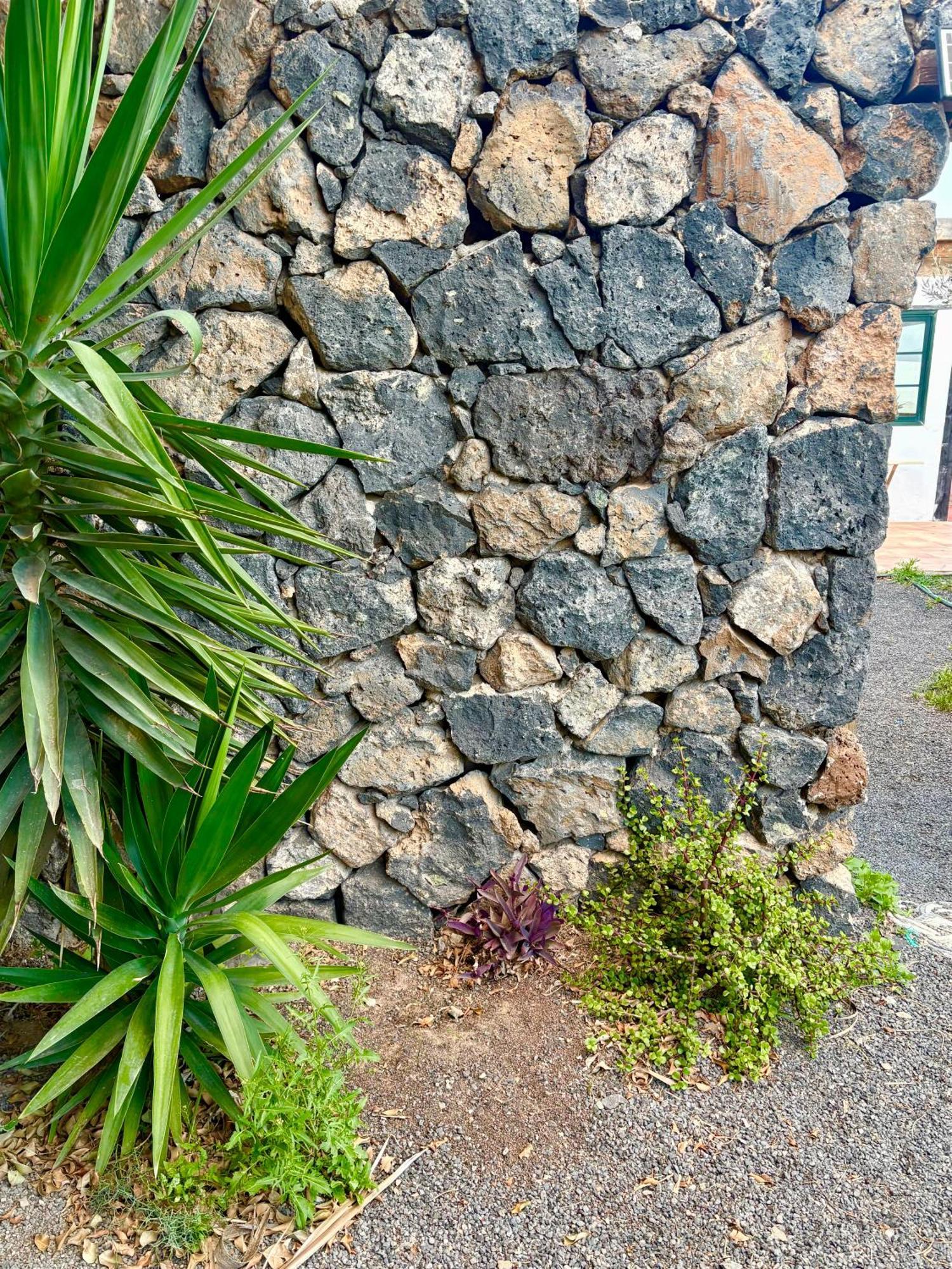 Casa Munique Villa Teguise  Exteriör bild